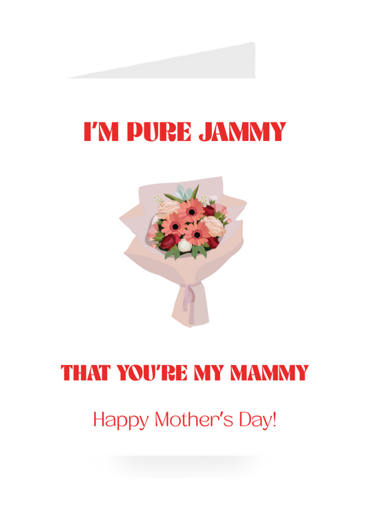 I'm Pure Jammy That You're My Mammy